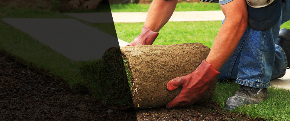 Trumann Landscapers